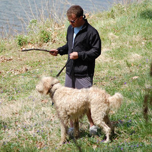 Meet your Posher, Damon